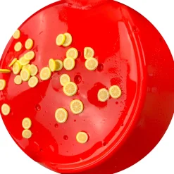 Thick & Glossy Slime><noscript><img width=